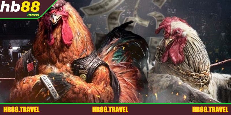Tận hưởng tỷ lệ kèo cực hấp dẫn, đáng trải nghiệm tại HB88